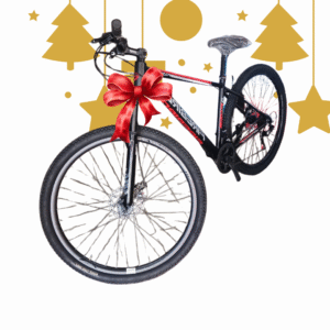 Bicicleta Fire Bird rod 29