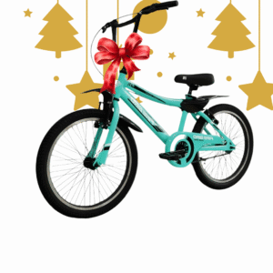 Bicicletas FIRE BIRD rod 20