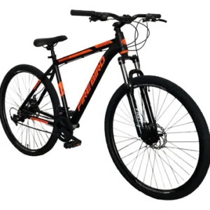 Bicicleta Fire Bird rod 29