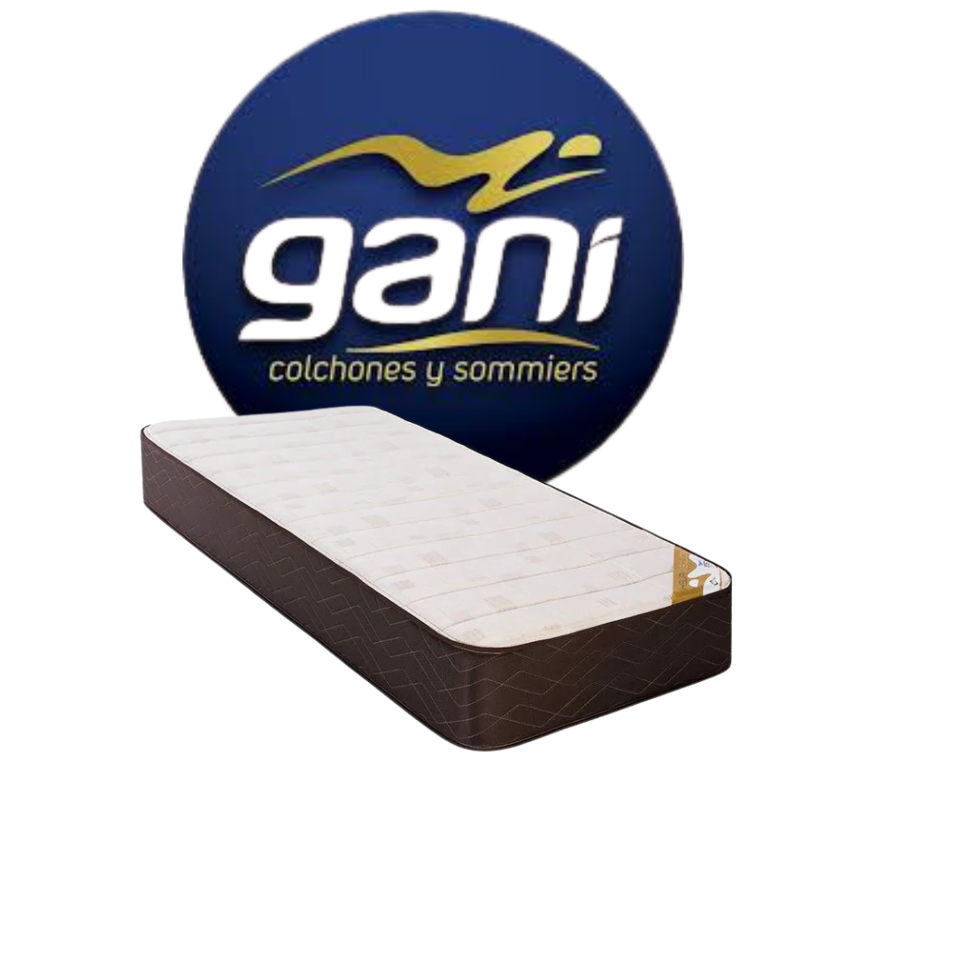 COLCHON GANI GOLDEN FLEX  C/PILLOW 80X190X30